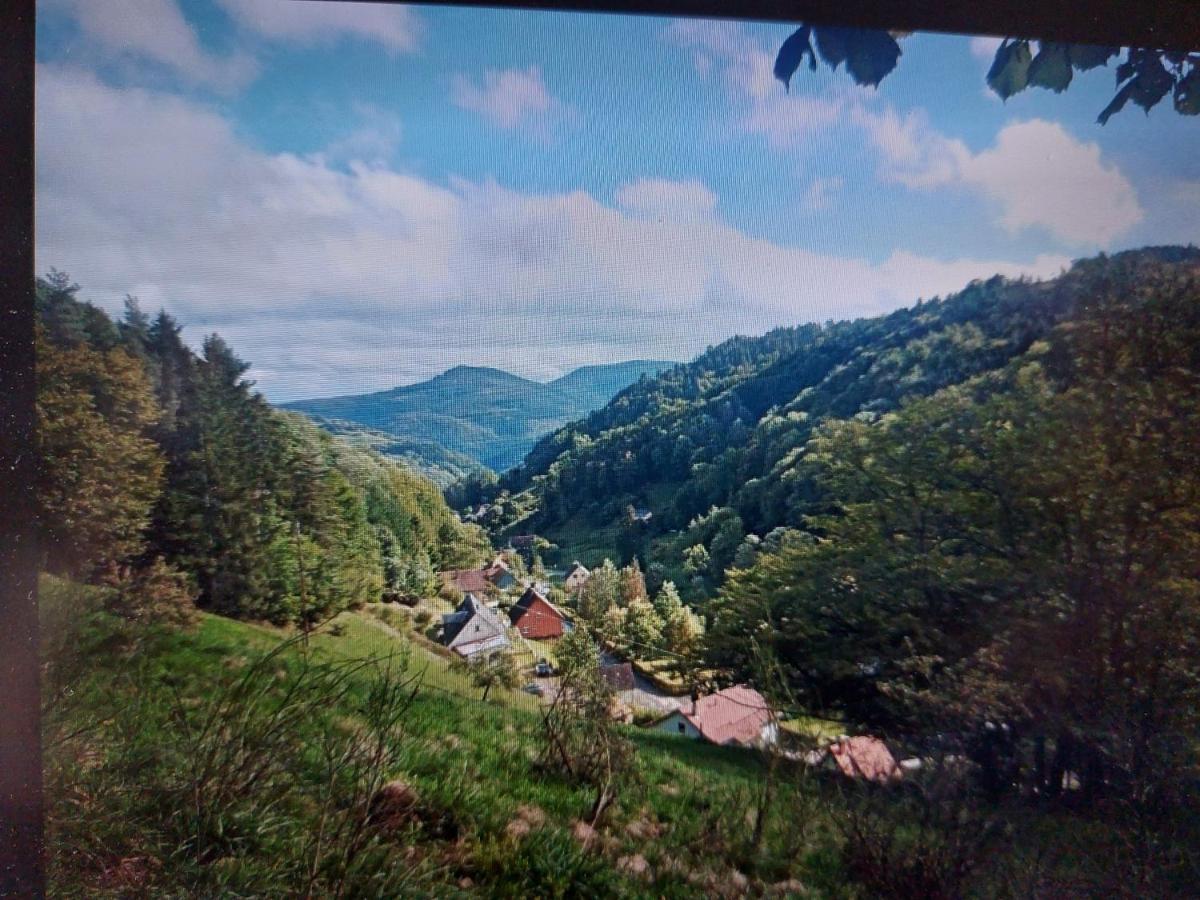 Gite La Fonderie Fréland Exterior foto